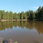 Компания чистые пруды - очистка водоемов