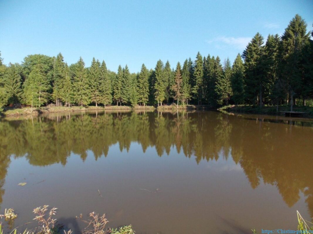 Как почистить пруд 1 Компания чистые пруды - очистка водоемов
