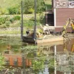 Очистка водоема от водорослей