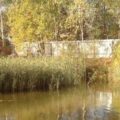 Очистка водоемов от камыша