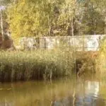 Очистка водоемов от камыша