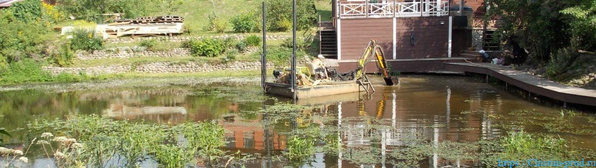 Очистка прудов и водоемов от водорослей 1 DSCN3150 1 e1540890514821