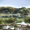 Очистка рек от ила водорослей камыша
