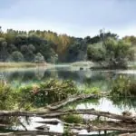 Очистка рек от ила водорослей камыша