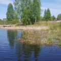 Очистка противопожарных прудов и водоемов в Москве и МО