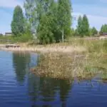 Очистка противопожарных прудов и водоемов в Москве и МО