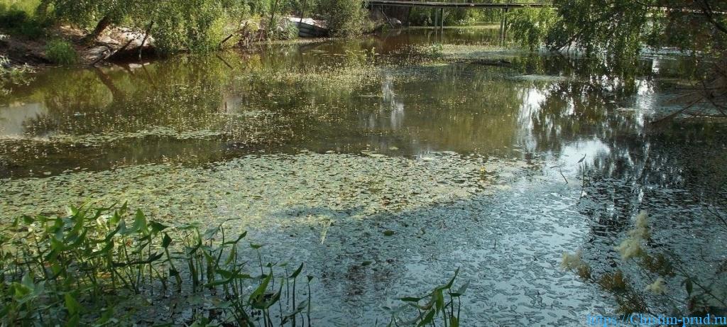 Для чего чистить и углублять дно прудов, рек и водоемов