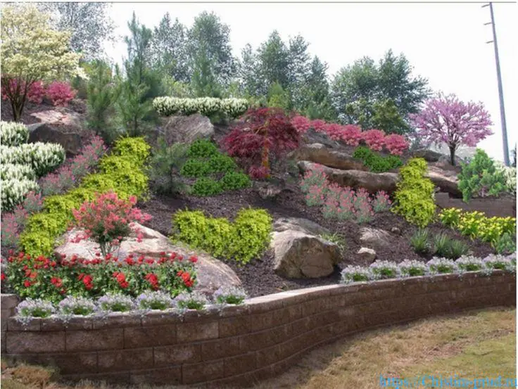 Укрепление склонов растениями