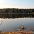 ПРУДЫ И ВОДОЕМЫ ДЛЯ РЫБАЛКИ