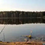 ПРУДЫ И ВОДОЕМЫ ДЛЯ РЫБАЛКИ