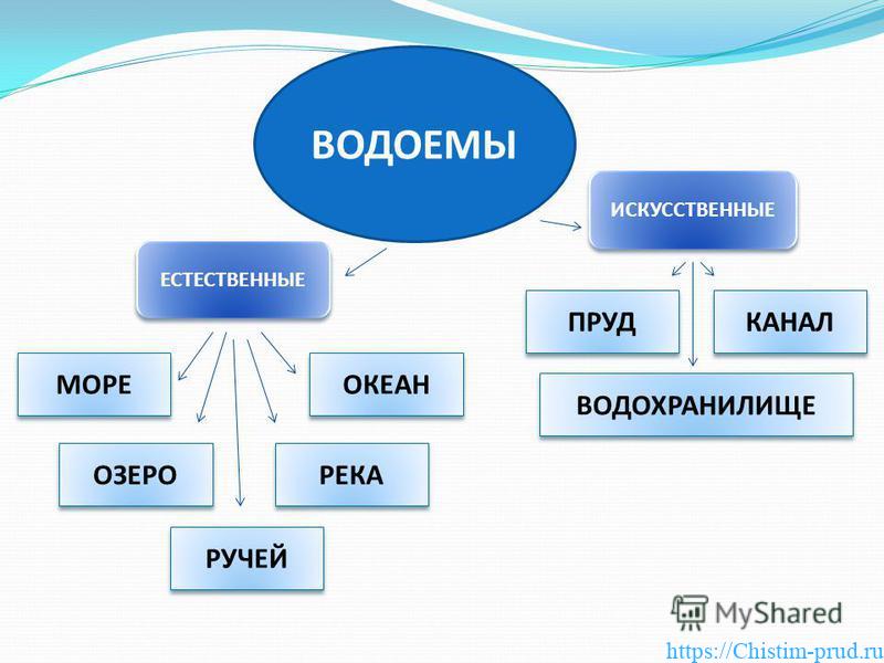 Что такое пруд и чем пруд отличается от озера 2 Назначение и классификация водоемов