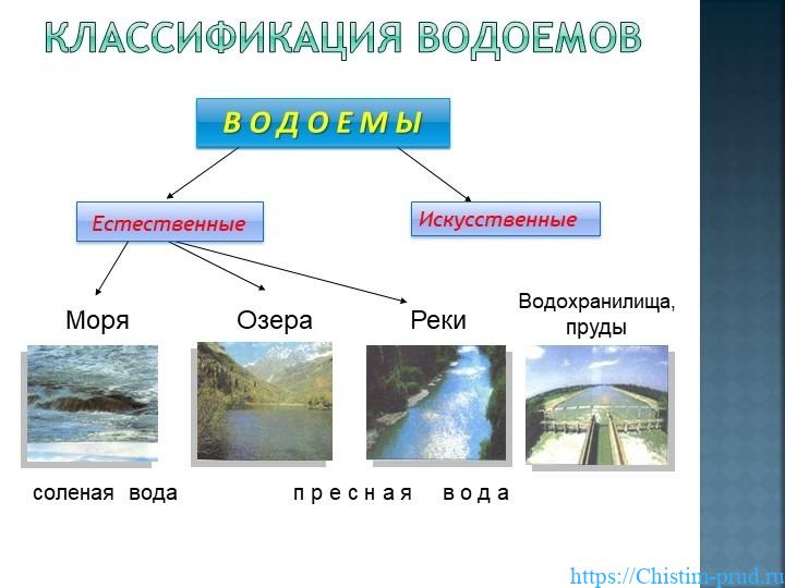 Что такое пруд и чем пруд отличается от озера 3 Водоснабжение прудов и озер