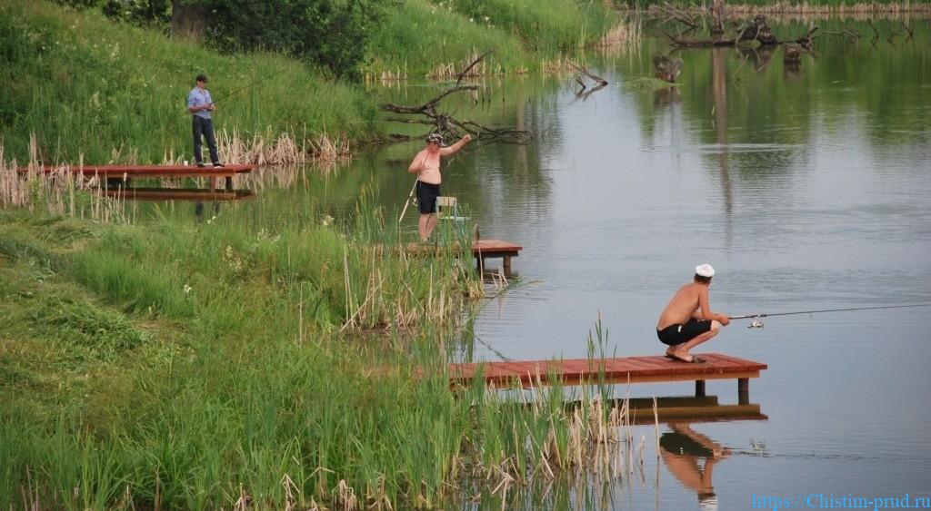 Пруды и водоемы для рыбалки в Подмосковье 4 Река для рыбалки
