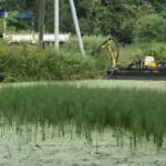 Очистка рек земснарядом - компания "Чистые Пруды"