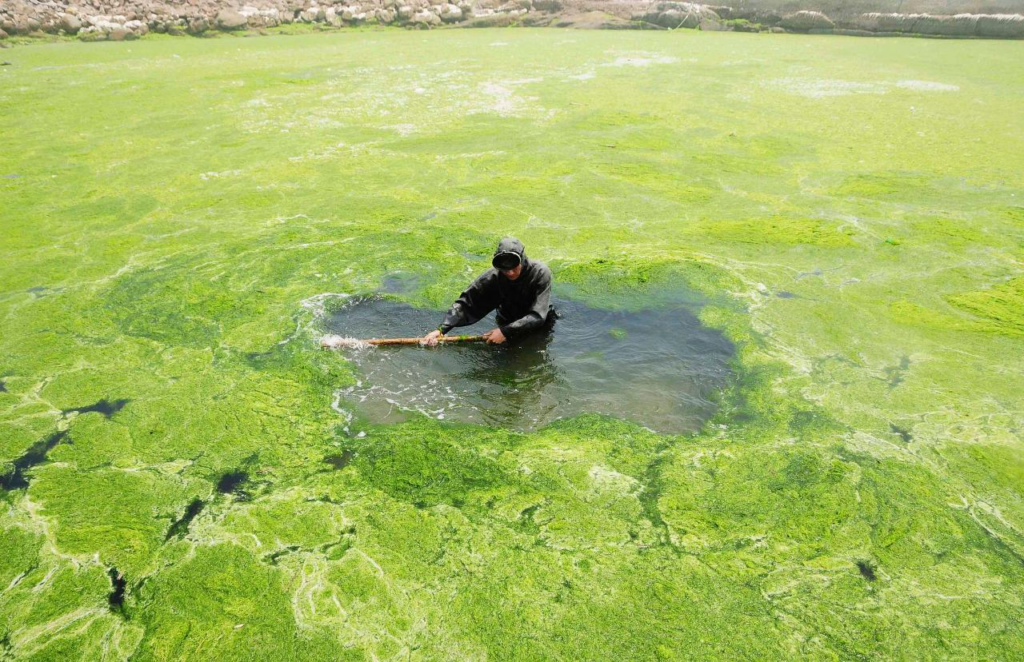 Опасность оставлять малые водоемы без аэрации