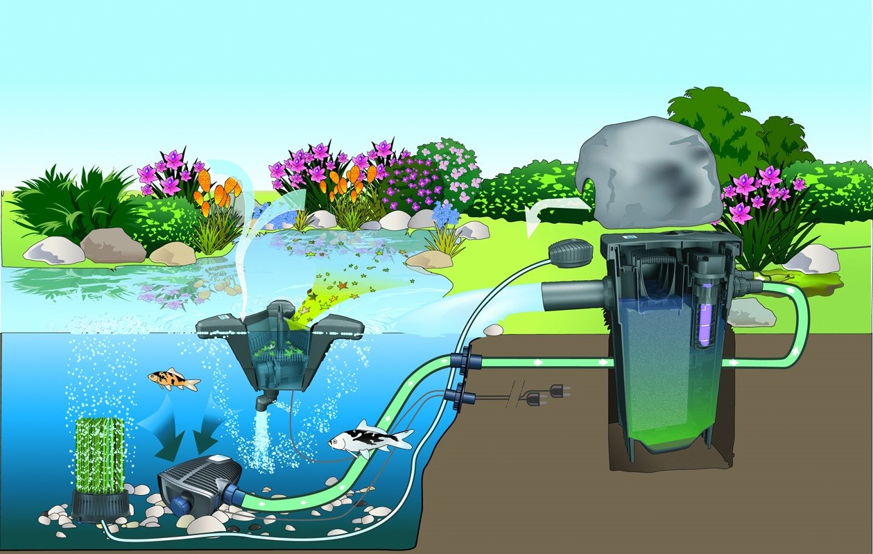 Аэрация водоёмов: зачем нужна, как делается и в чём польза 3 Важность аэрации водоемов