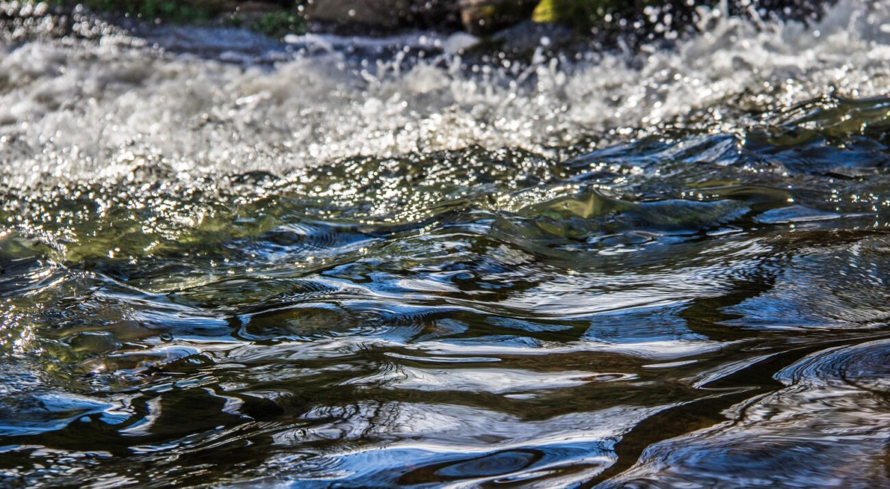 Аэрация водоёмов: зачем нужна, как делается и в чём польза 2 Важность аэрации воды в прудах и водоемах
