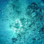 Аэрация водоемов-компания Чистые пруды