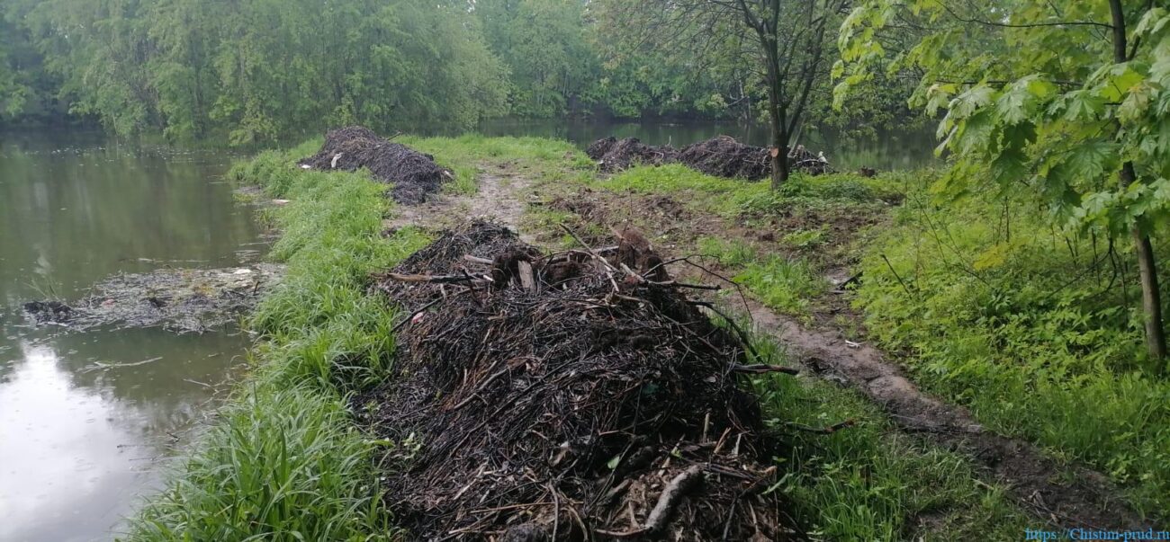 Удаление водорослей, компания "Чистые пруды"